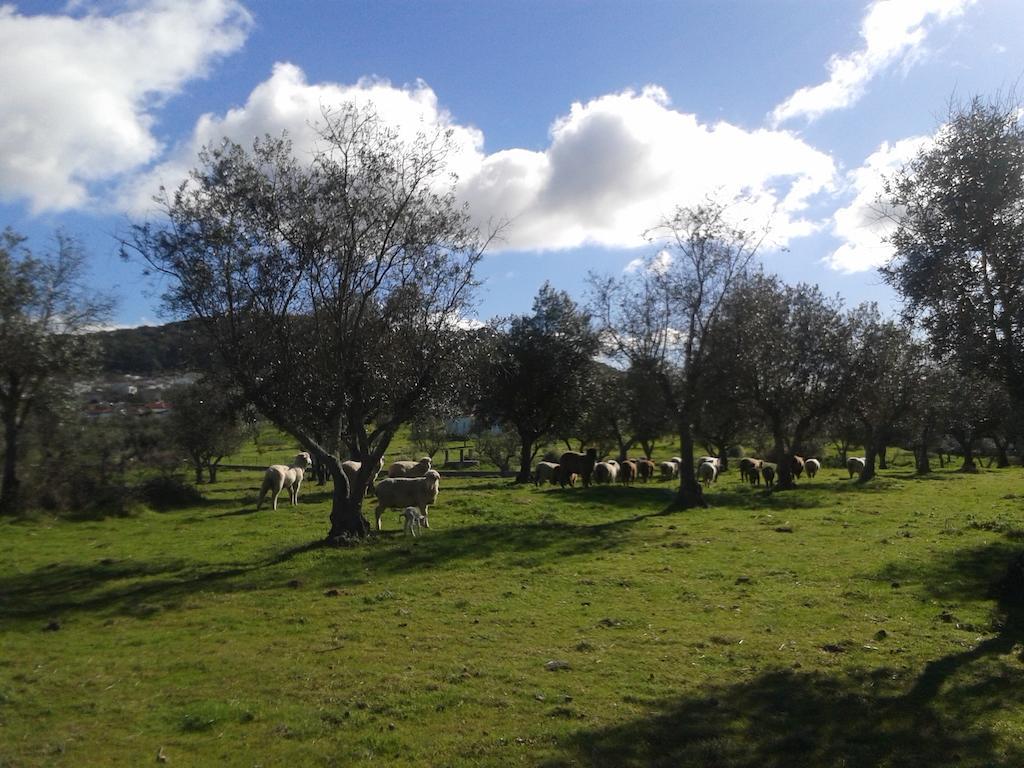 Tapada Da Eira E Chanca Fortios Esterno foto